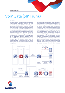 VoIP Gate (SIP Trunk)