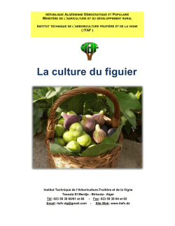 La culture du figuier - Institut Technique de L`Arboriculture Fruitière