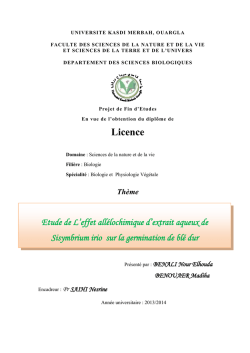 Licence - DSpace - Université Kasdi Merbah Ouargla
