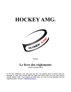 HOCKEY AMG© - Accueil