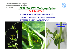 TP1 Embryophytes S2 - Faculté des Sciences Rabat