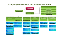 Organigramme CCI NSN - INTRANET - février 2014