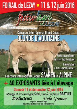 France Blonde d`Aquitaine