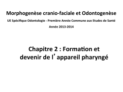 chp 2 - formation et devenir appareil pharyngé