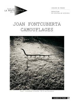 JOAN FONTcUbERTA cAmOUFlAgES