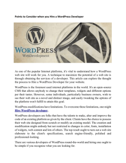 Points to Consider when you Hire a WordPress Developer