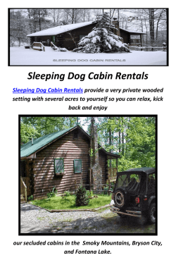 Sleeping Dog Cabin Rentals in Bryson City, NC