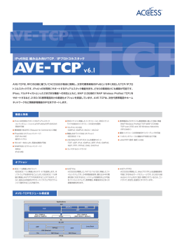 IPv6対応 組み込み向けTCP／IPプロトコルスタック