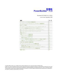 PowerBuilder 11.5 新機能
