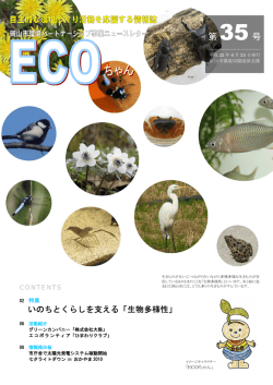 ECOちゃん 35号(平成22年6月25日発行)