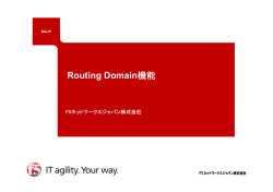 Routing Domain機能