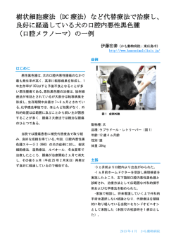 樹状細胞療法（DC 療法）など代替療法で治療し、 良好に経過している犬