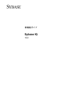 Sybase IQ 15.0