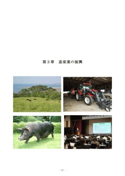 第3章 畜産業の振興 - 内閣府 沖縄総合事務局