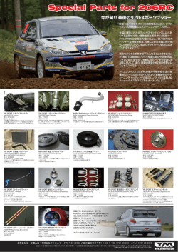 Special Parts for PEUGEOT 206RC