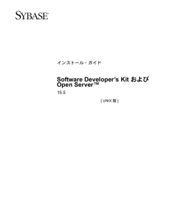 Software Developer`s Kit および Open Server