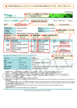 旅程/ITINERARY 運賃/航空券情報/FARE/TICKET INFORMATION 便