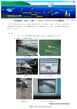 （共同研究） 伊豆・三津シーパラダイスでのイルカの行動研究