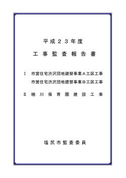 工事監査報告書(PDF：767KB)