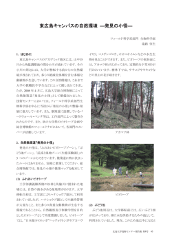東広島キャンパスの自然環境 ―発見の小径