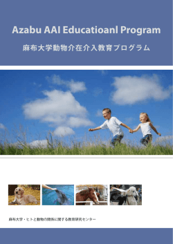 Azabu AAI Educational Programパンフレット