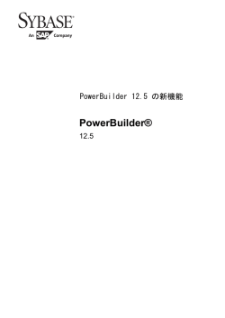 PowerBuilder .NET