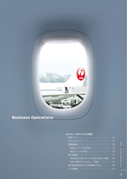 （PDFファイルを開きます）Top JALグループのビジネスと財務 (P33