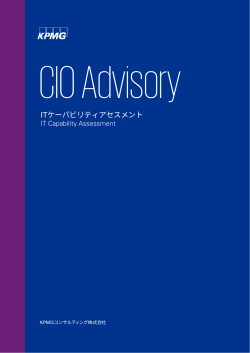 CIO Advisory