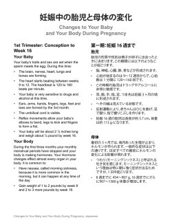 Changes to your baby and your body during pregnancy 妊娠中の