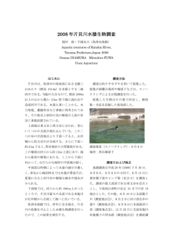 2008 年片貝川水棲生物調査