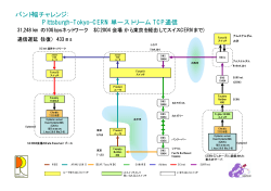 関連資料: Network configuration of LSR-Japanese