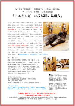 モルとムギ 相撲部屋の猫親方 - ネコグラファー株式会社｜Nekographer