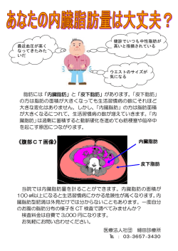 腹部CT画像 - 細田診療所