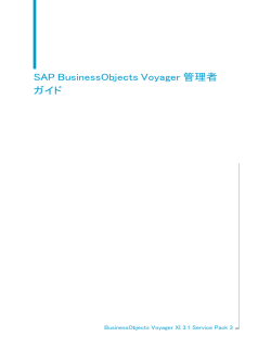 SAP BusinessObjects Voyager 管理者ガイド