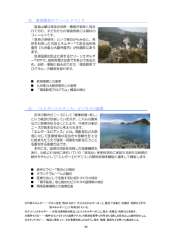 「観光霧島」戦略の基本方針と推進施策（その2）（PDF：1080KB）