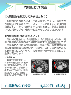 内臓脂肪CT検査 内臓脂肪CT検査 4320円 (税込)