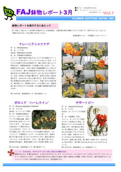 Vol.01 2006年2月15日発行 FAJ鉢物レポート3月