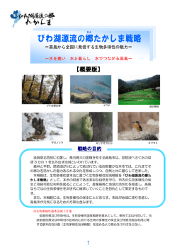 びわ湖源流の郷たかしま戦略 概要版(PDF文書)