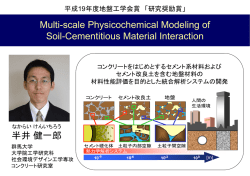 MULTI-SCALE PHYSICOCHEMICAL MODELING OF