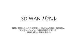 SD WAN パネル