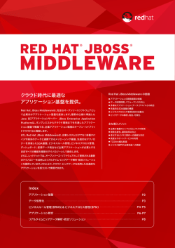 ダウンロード（約0.96MB） - RED HAT OPENEYE