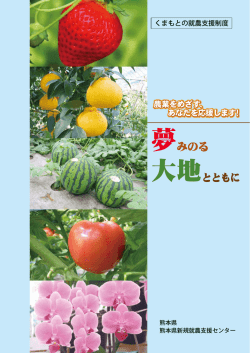 夢みのる - 熊本県新規就農相談ウェブサイト 新・農業人を応援します