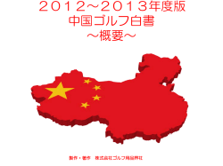 2012中国市場調査サマリー用の媒体資料