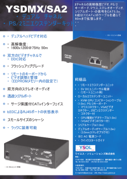 SDMX/SA2 - YS Solutions Co., Ltd.