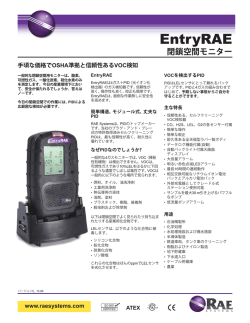 EntryRAE - RAE Systems