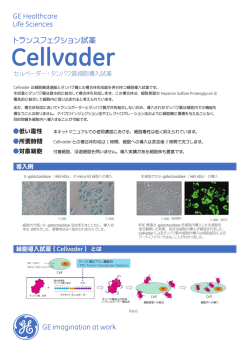 トランスフェクション試薬 Cellvader