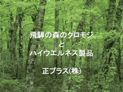 飛騨の森のクロモジ と ハイウエルネス製品 正プラス(株)