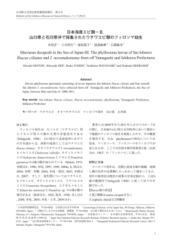 日本海産エビ類−Ⅲ． 山口県と石川県沖で採集されたウチワエビ類の