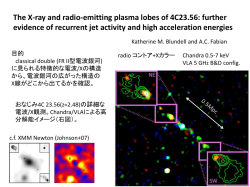 The X-ray and radio-emitting plasma lobes of 4C23.56: further