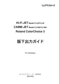 Roland ColorChoice 3